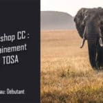 TUTO // S’entraîner à la certification TOSA Photoshop